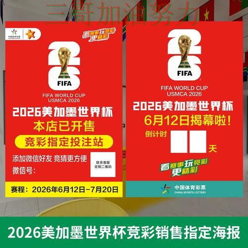 世界杯投注网站大全怎么选？一篇讲清楚｜数据分析（World Cup 2026）
